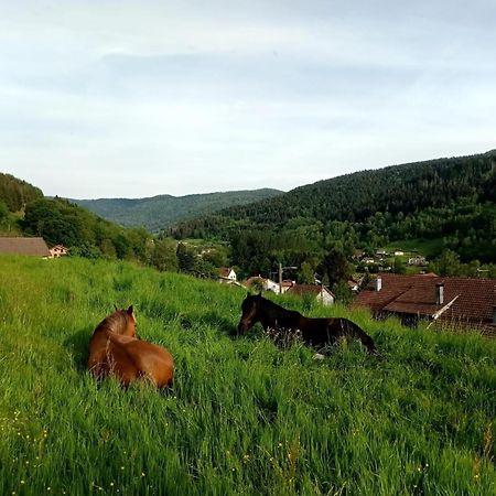 Gite De Famille Dans Les Vosges 莫河畔圣莫利斯 外观 照片