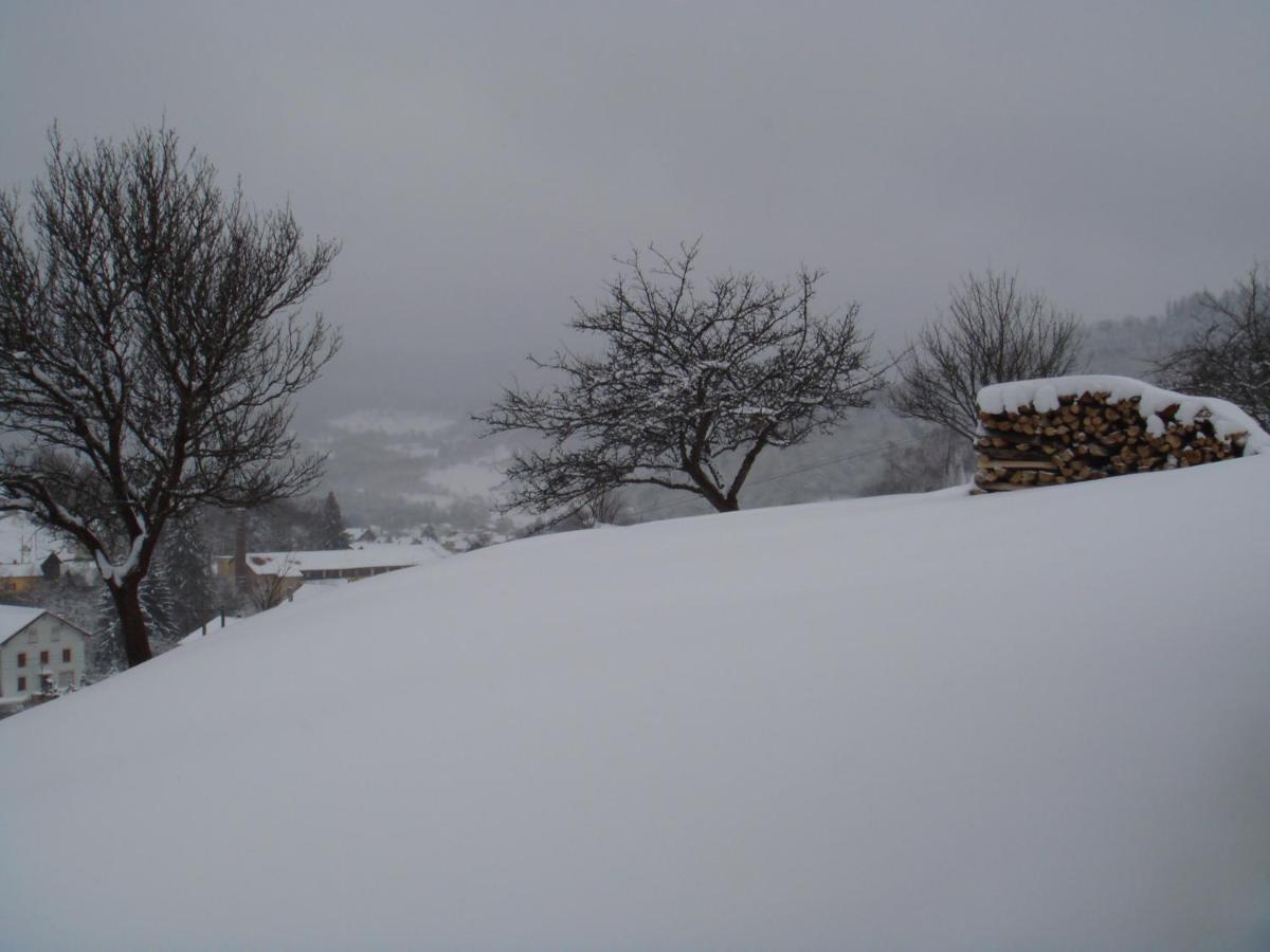Gite De Famille Dans Les Vosges 莫河畔圣莫利斯 外观 照片