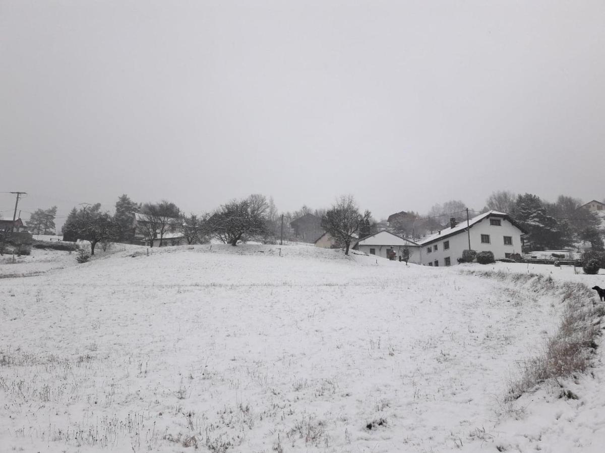 Gite De Famille Dans Les Vosges 莫河畔圣莫利斯 外观 照片