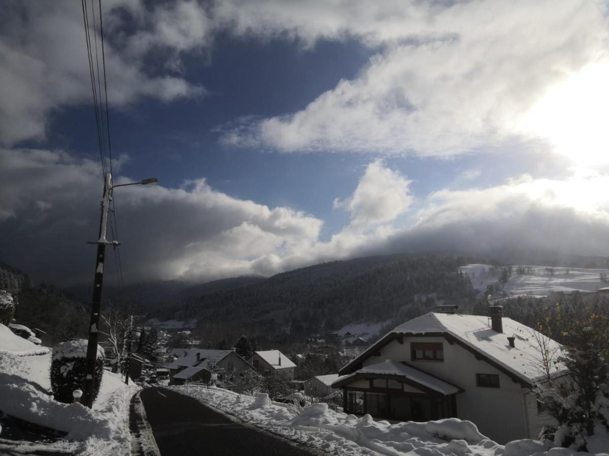 Gite De Famille Dans Les Vosges 莫河畔圣莫利斯 外观 照片