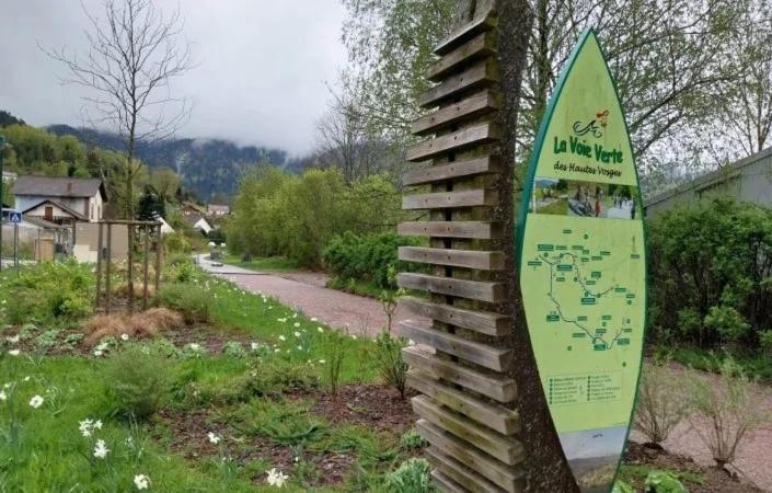Gite De Famille Dans Les Vosges 莫河畔圣莫利斯 外观 照片