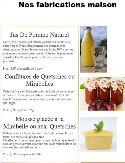 Gite De Famille Dans Les Vosges 莫河畔圣莫利斯 外观 照片