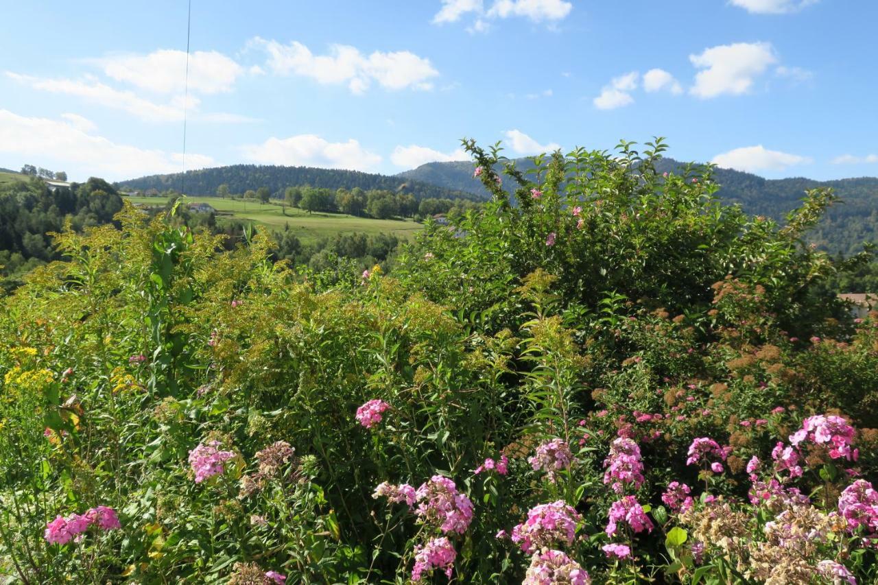 Gite De Famille Dans Les Vosges 莫河畔圣莫利斯 外观 照片