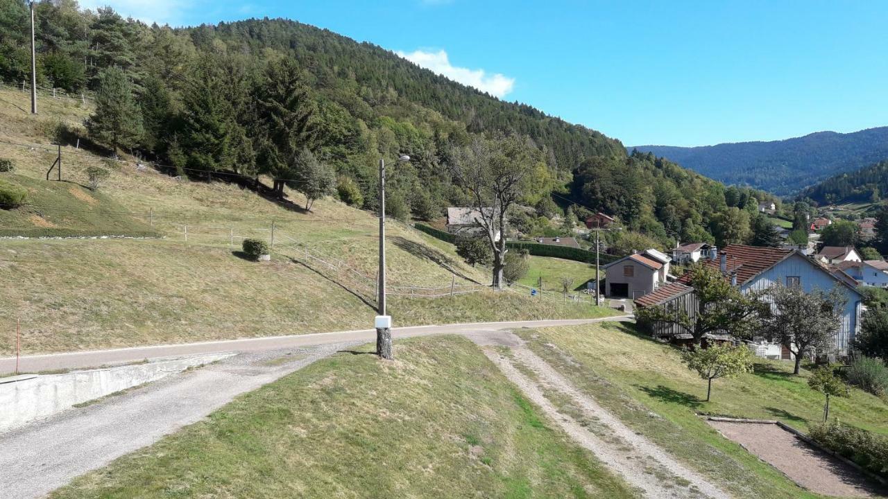 Gite De Famille Dans Les Vosges 莫河畔圣莫利斯 外观 照片