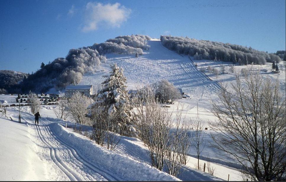 Gite De Famille Dans Les Vosges 莫河畔圣莫利斯 外观 照片